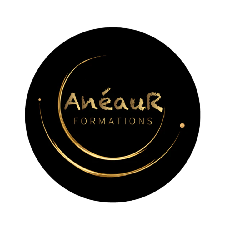 Logo anéaur formation